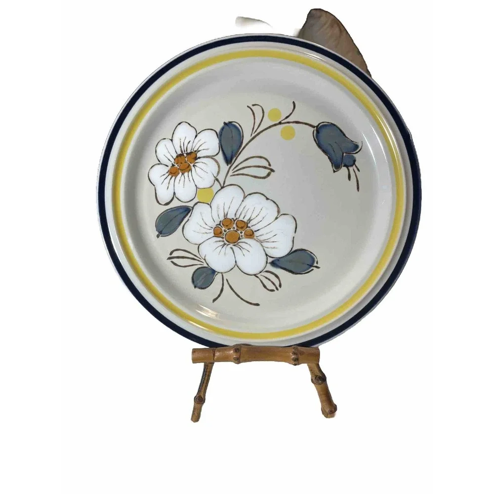 acsons stoneware Dinner Plate Vintage Japan Oven Proof